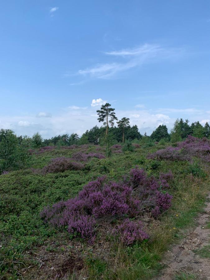Bed and breakfast Haarles Landleven Extérieur photo