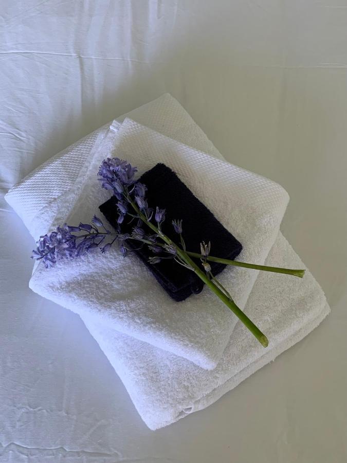 Bed and breakfast Haarles Landleven Extérieur photo